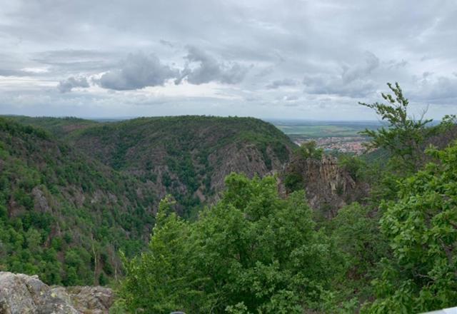 Unser Ferienhaus Im Harz Thale Eksteriør bilde